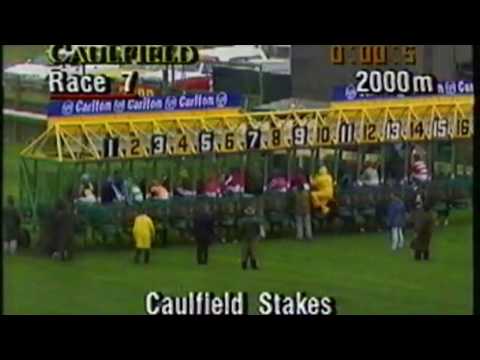 1993 Caulfield Stakes