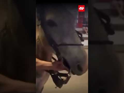 Homem obriga mula a fumar cigarro em Minas Gerais #shorts