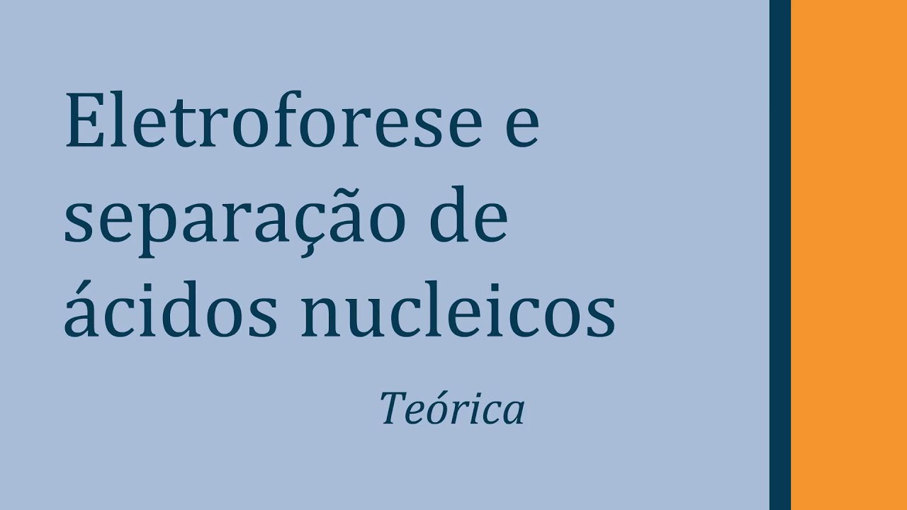 Eletroforese em gel de agarose