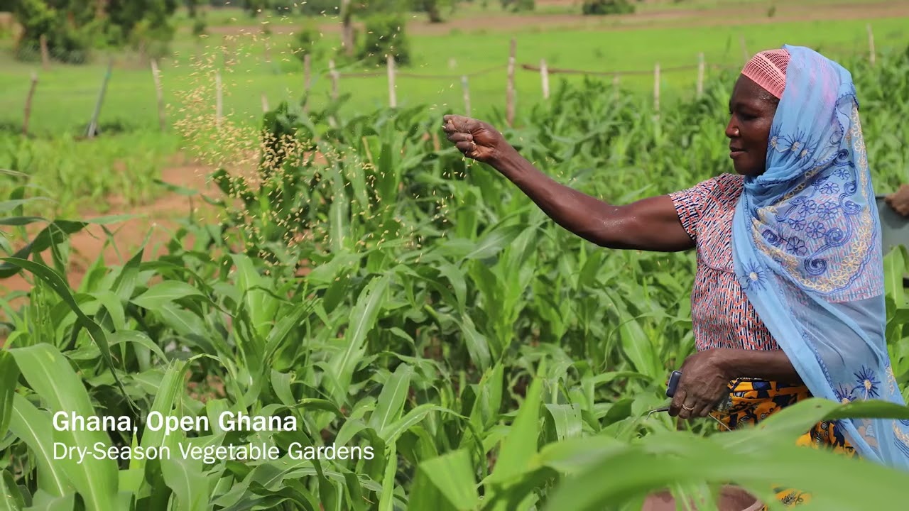 Adaptation Projects around the World
