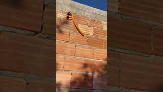 tirando escoramento. #casa #obra #construcao #engenharia #construction #remix