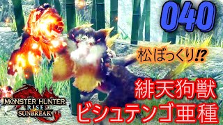【MHRSB 実況プレイ】ビシュテンゴ！亜種！初亜種？？ PS5