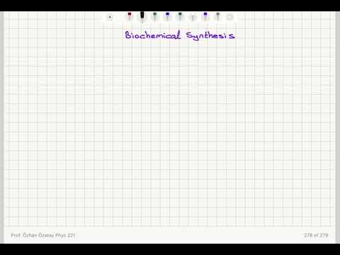 Week 11-7 Biochemical Synthesis