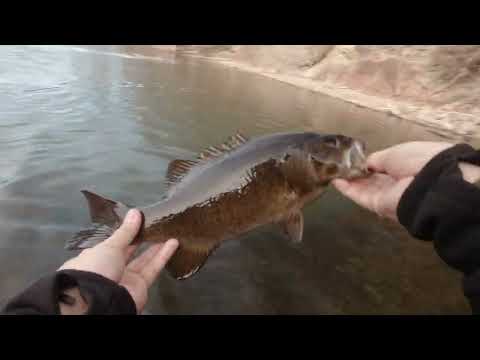 Raid Level Vib Boost 4.6cm 11g 032 Houran S