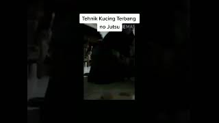 Download lagu Teknik kucing terbang - no jutsu - bikin ngakak sakit perut 🤣🤣 #shorts #kucinglucu #kucingimut mp3
