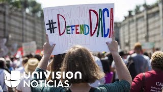 ¿Qué sigue después de que la Corte Suprema rechazó la revisión de cancelar DACA como pidió Trump?