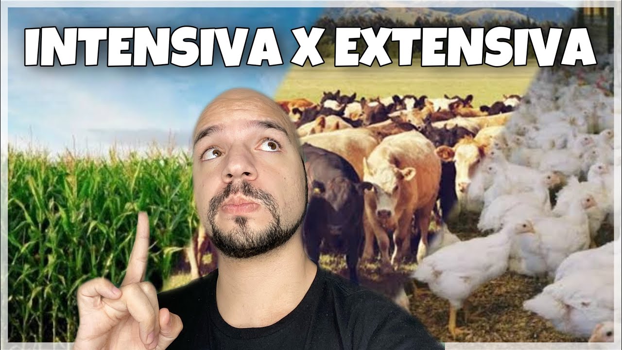 Agropecuária Intensiva x Extensiva | Ricardo Marcílio