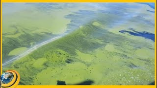 Սևանը գնում է դանդաղ ճահճացման. Հայաստանի ամենամեծ ջրապահոցի մակարդակը նվազել է