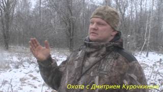 Идем на охоту тетерева в зимний лес - Видео онлайн