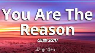 Download lagu You are the Reason Calum Scott... mp3