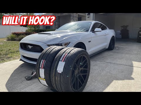 Nitto NT555RII Review on Whipple Supercharged Mustang GT