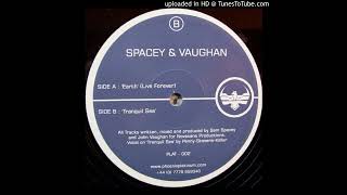 Spacey & Vaughan – Earth (Live Forever)-2002