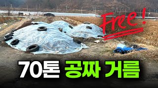 70톤 공짜거름 받기 ㅣ 당근 나눔 ㅣ 잘못 나눔 받으면 골치아픈 이유