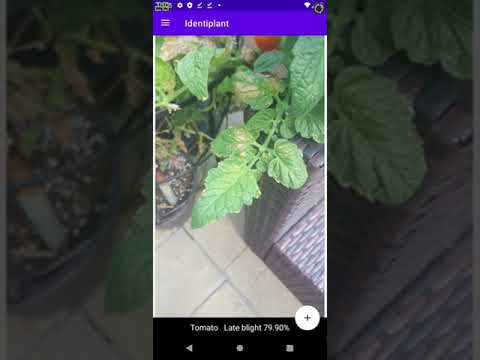 Identiplant Video