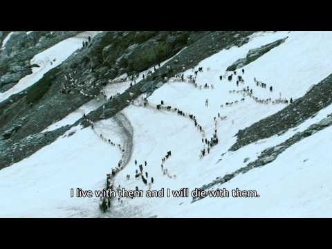 Shepherds Of Paradise (Trailer)