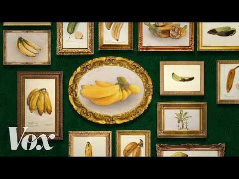 世界で最も面白い果物が絶滅するかもしれない (The most interesting fruit in the world could go extinct)