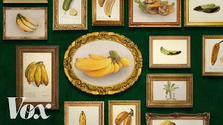 Download lagu 99% of our bananas could be doomed. Can we stop this? mp3