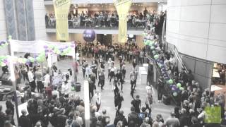 FlashMob - VoteOr - 2014 - Copenhagen Business School