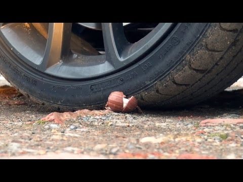50 Creme Eggs Destroyed By Car