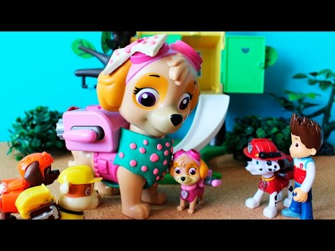 Skye of the Paw Patrol knows his mother