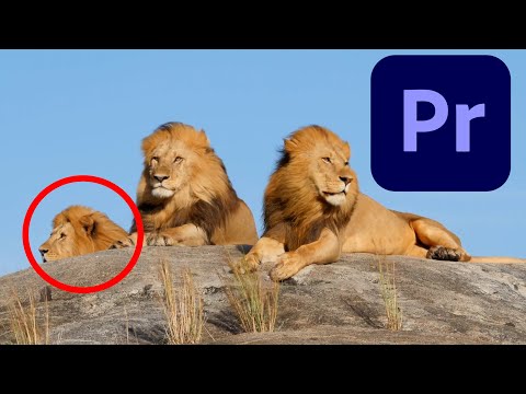 Premiere Pro Podcast Voice Tutorial