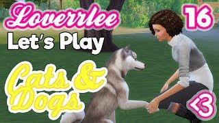 Cats & Dogs #16: Paw Pals