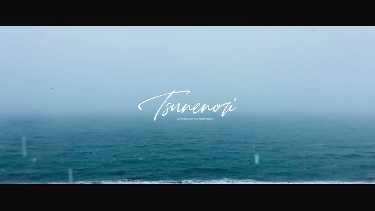 Tsunenori - Lost in Whiteout (2026)