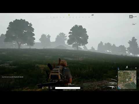 Second kill mini 14 red dot PUBG