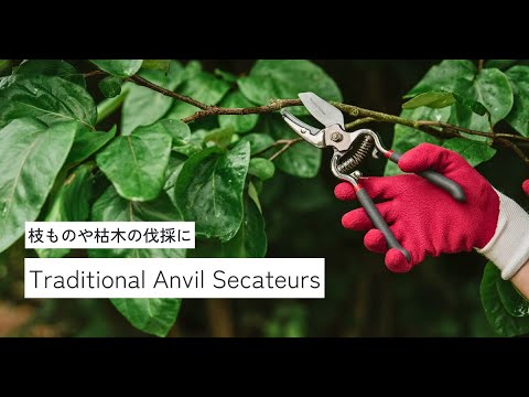 ヴィクトリア・スワロフスキーはダニエル・ハートウィッチのジャングルキャンプからの脱出についてこう考えている