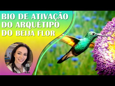 🌺Arquétipo do Beija-Flor: Animal de Poder | Cura Interior, Amor, Criatividade e Alegria | Com 852Hz✨