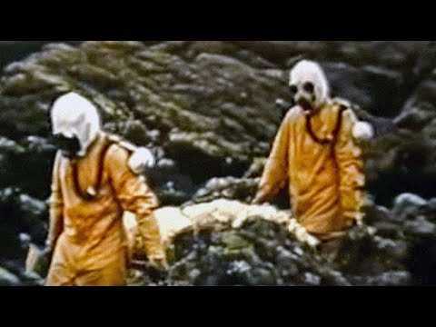 6 Gruselige geheime militärische Experimente, die aufgezeichnet wurden!