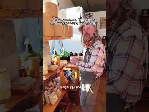 Daltoneando Neuquén - Villa Pehuenia 