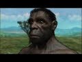 Documentaries Best The Best Documentary Ever THE MIND S BIG BANG PBS NOVA Full Length