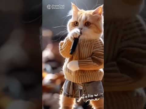 # animal lover cute animal # ai video generate # pratyaksha #Anvita