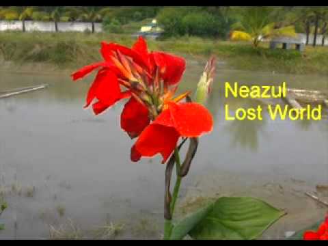 Koto Gaaner Swarolipi Likhechhi Ami-Md Abdul Jabbar