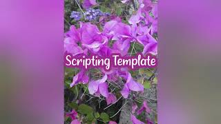 desired reality scripting template for shifting
