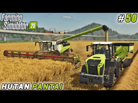 4,500 Chickens! Harvesting Wheat & Feeding Our Poultry Farm! | FS 25 | Hutan Pantai Farm | ep #50