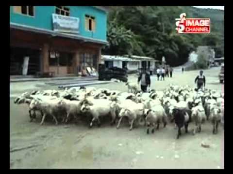 11 AM NEWS 2070 Ashoj -6