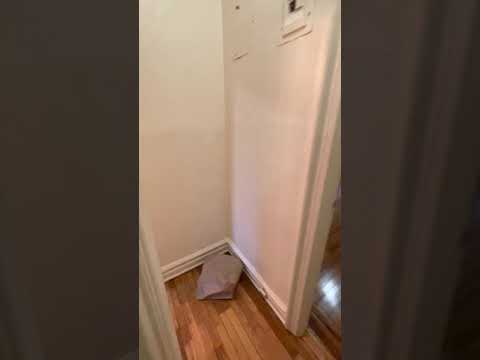video 1