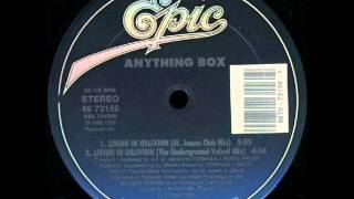 ANYTHING BOX - Living In Oblivion (The Box Mix) - 1990