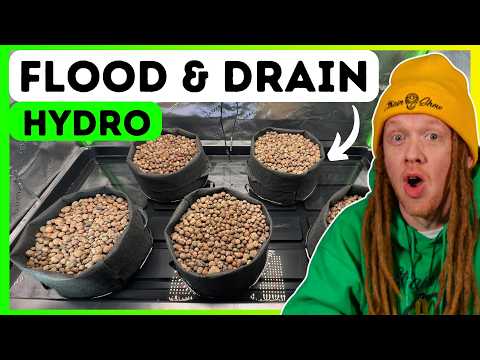 Easy Ebb and Flow Hydroponics in a 2x4 Tent