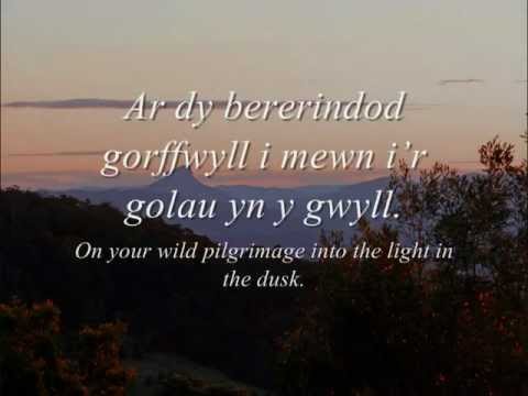 Golau yn y Gwyll - Meinir Gwilym (geiriau / lyrics)