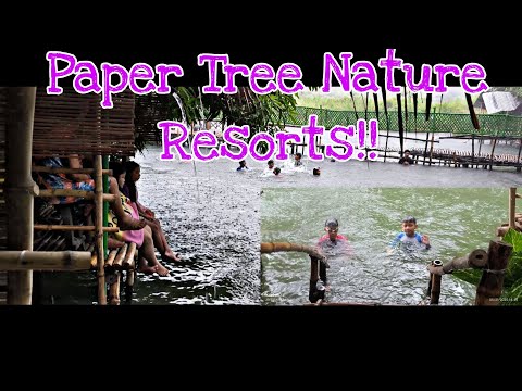 Nature Tripping|| Paper Tree || San Narciso Zambales || Cinematic Video || @jefffarillasvlogs