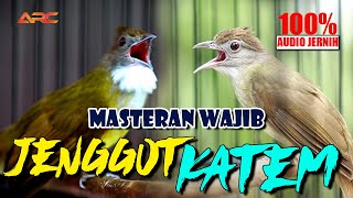 Download lagu MASTERAN CUCAK JENGGOT VS KAPAS TEMBAK | KOLABORASI PANAS BESET DAN NEMBAK mp3 Download lagu MASTERAN CUCAK JENGGOT VS KAPAS TEMBAK | KOLABORASI PANAS BESET DAN NEMBAK mp3