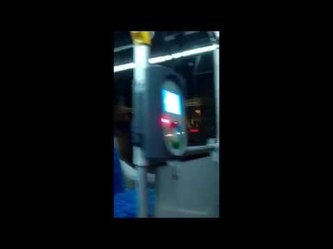 Interline Daewoo Bus