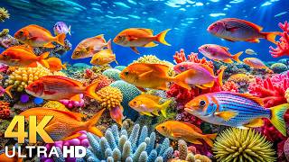 Download lagu Marvel at Sea Animal in The Best 4K ULTRA HD Aquarium-Dive Into The Mesmerizing Underwater Realm #64 mp3