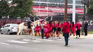 Episode 93 - Maximum White Paint Horse Rides In A Parade
