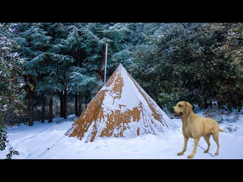 I Found a Stray Dog - Hot Tent Camping in Snow Storm