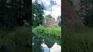 シュプレ ーヴァルト　　船で周遊   2024