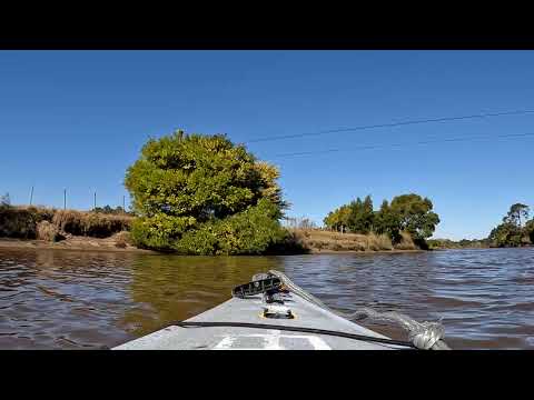 Remada del 27 de agosto 2025, Arroyo Pando(Canelones, #uruguay )